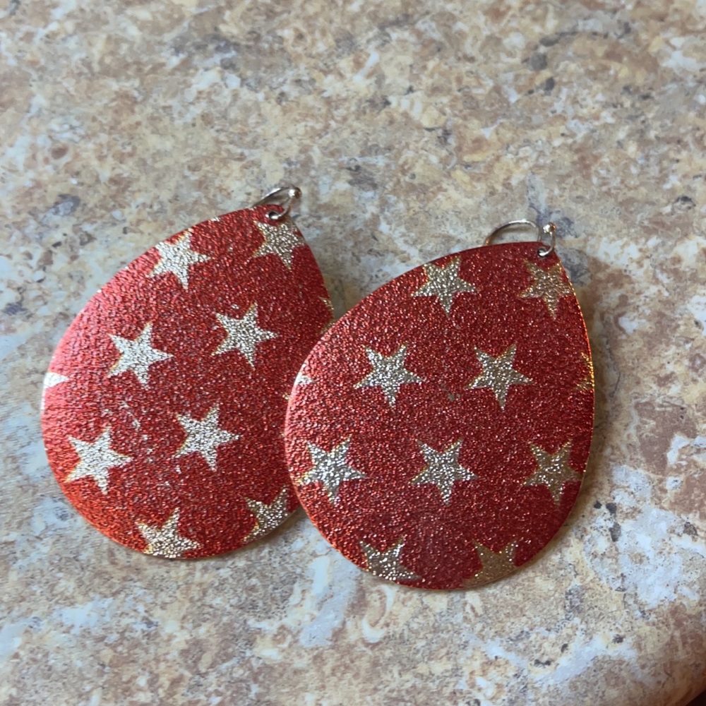 🇱🇷 Fish hook earrings.  🎆